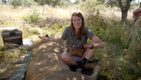 Dierendokter in het wild